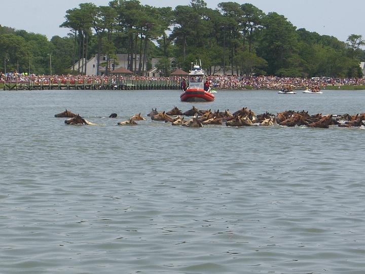 Chincoteague Pony Swim July 2007 050.JPG